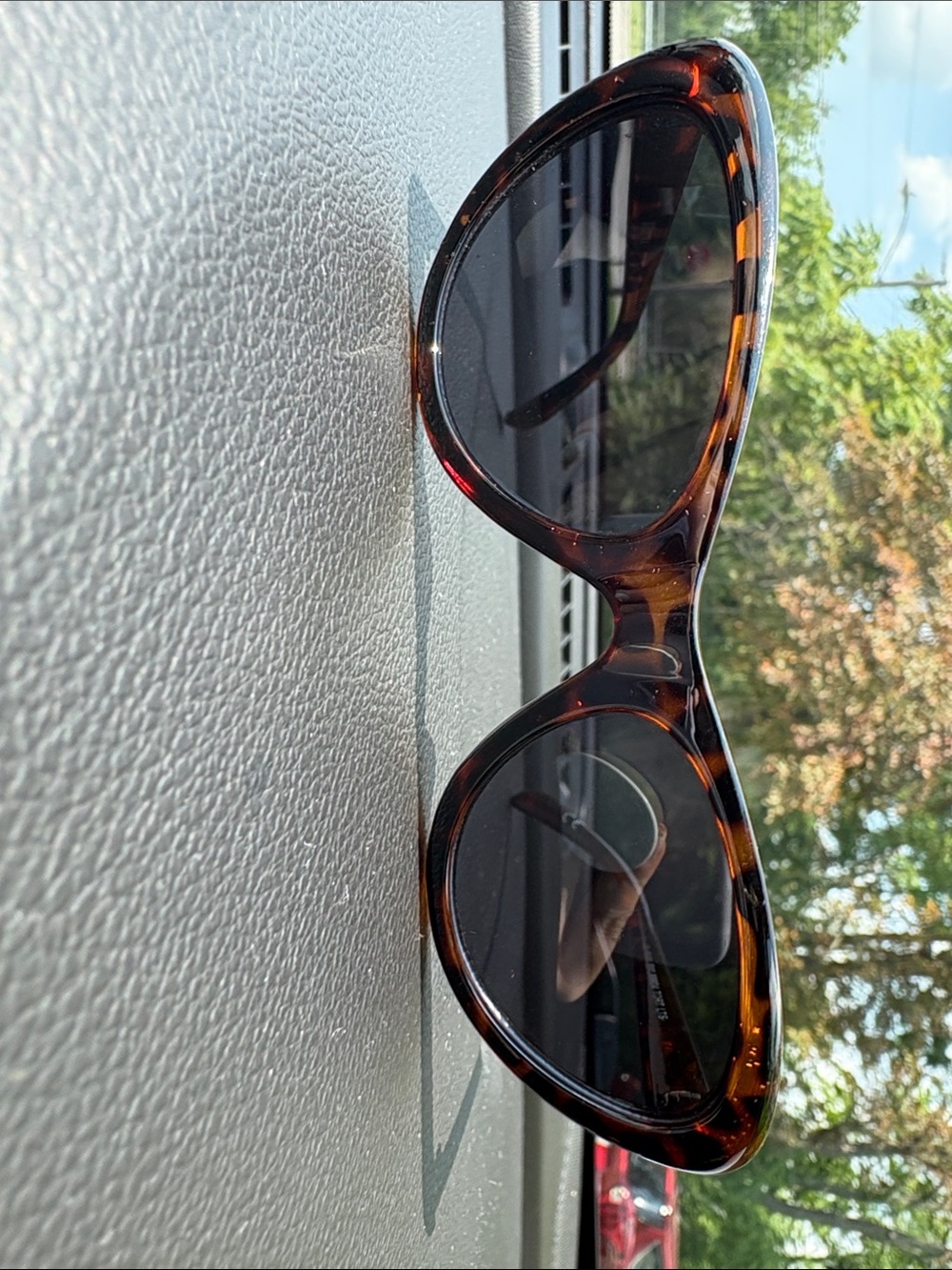Steve Madden Tortoiseshell Cat-Eye Sunglasses - Dark Brown/Black